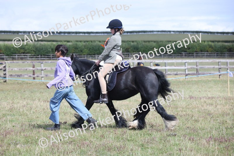 20250831-2885 - Class 18 - Childs First Pony