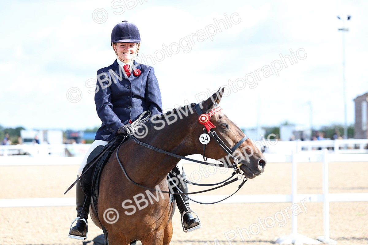 SBM_09151 - Class 303 - Ridden Pure Bred Horse Pony