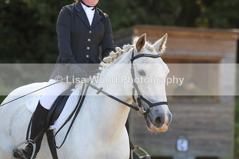 3E7A2478 - Class 1: Intro 4 2024 section A