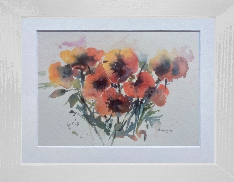 Poppy 1 - Widlife/Nature