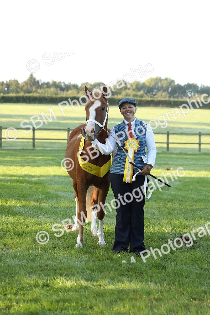 SBM_57860 - S42 - Youngstock