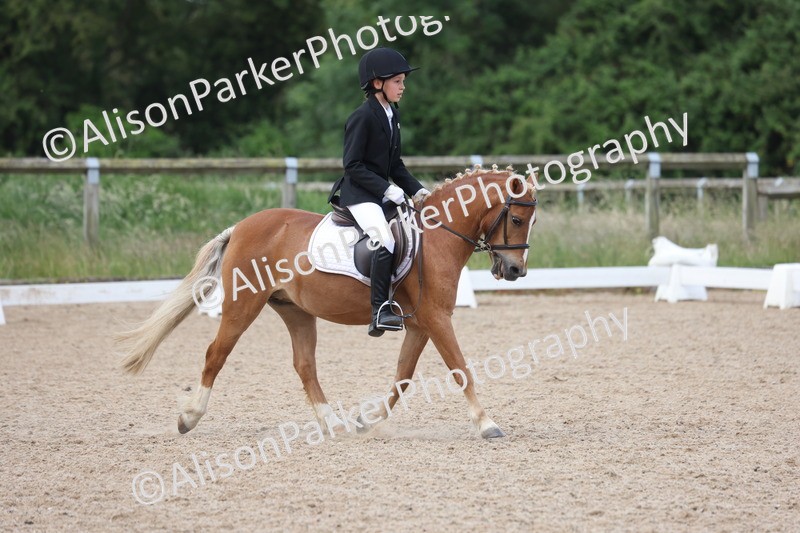 20250614-0396 - Class 4 - Novice 2