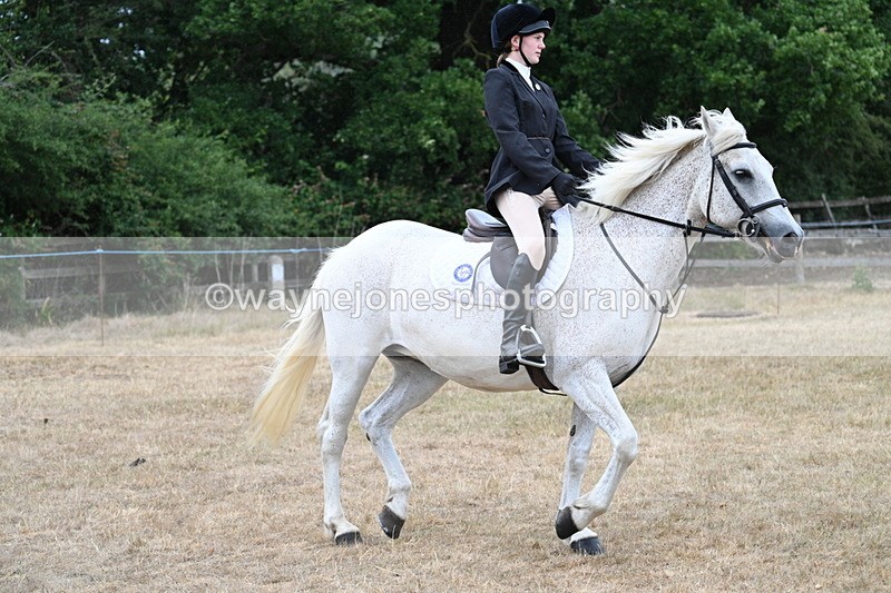 WJ7_0949 - Class 7 Riding Club Show Horse