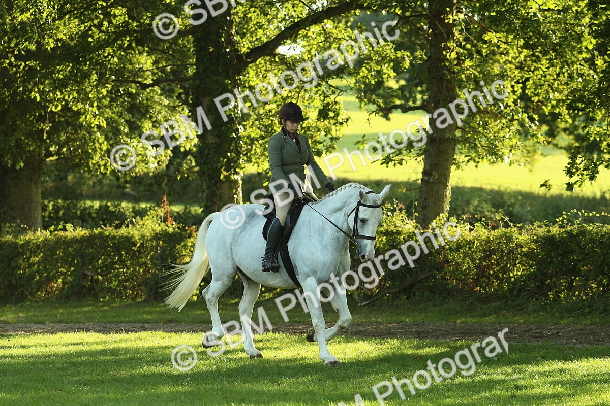 SBM_55563 - S14 - Riding Club Horse