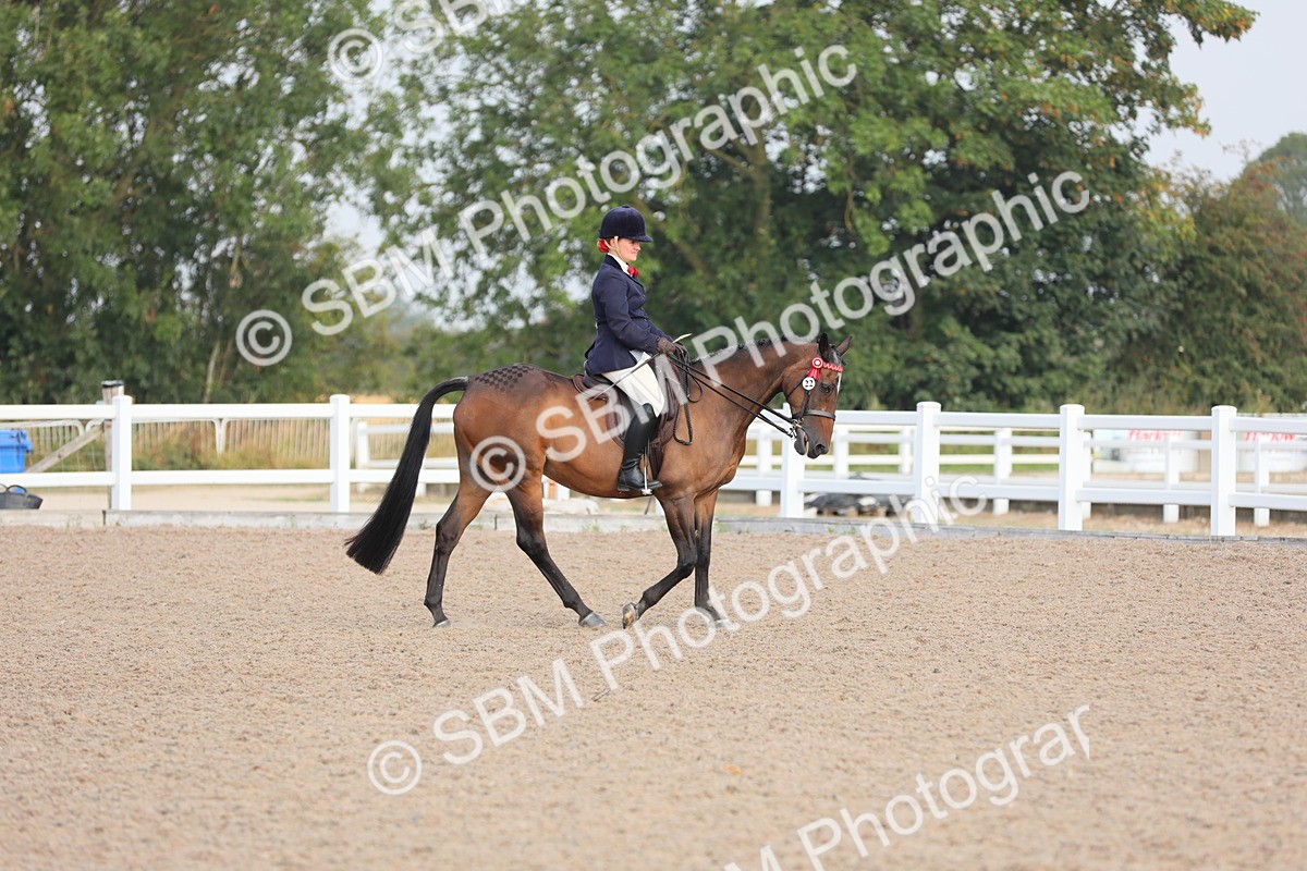 SBM_10653 - Class 303 Ridden Pure Bred Horse/Pony (excl M&M)