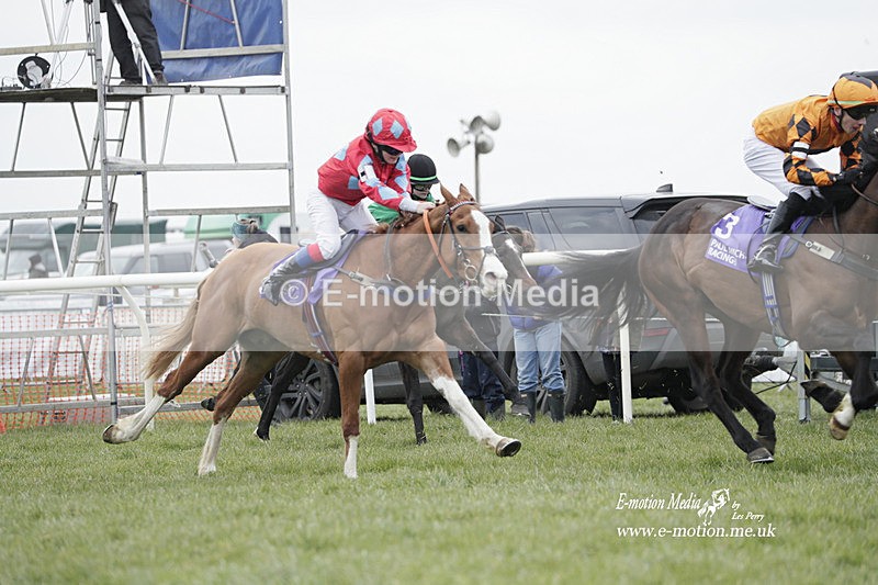 PtP 050323 168 - Blackmore & Sparkford Vale Hunt PtP - Somerset 05/03/23