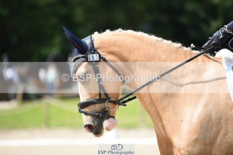 240605-113714-00794 - Cls 2 Prelim 19 SQ