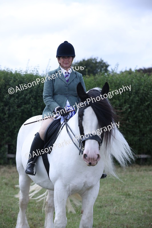 20250831-4353 - Class 20 - Ridden Coloured