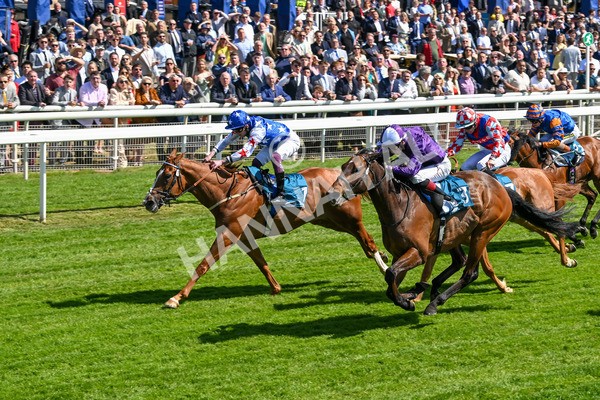 160525-Race 2-Thunder Run-6249 - Race 2 2.42pm Knights Solicitors Handicap