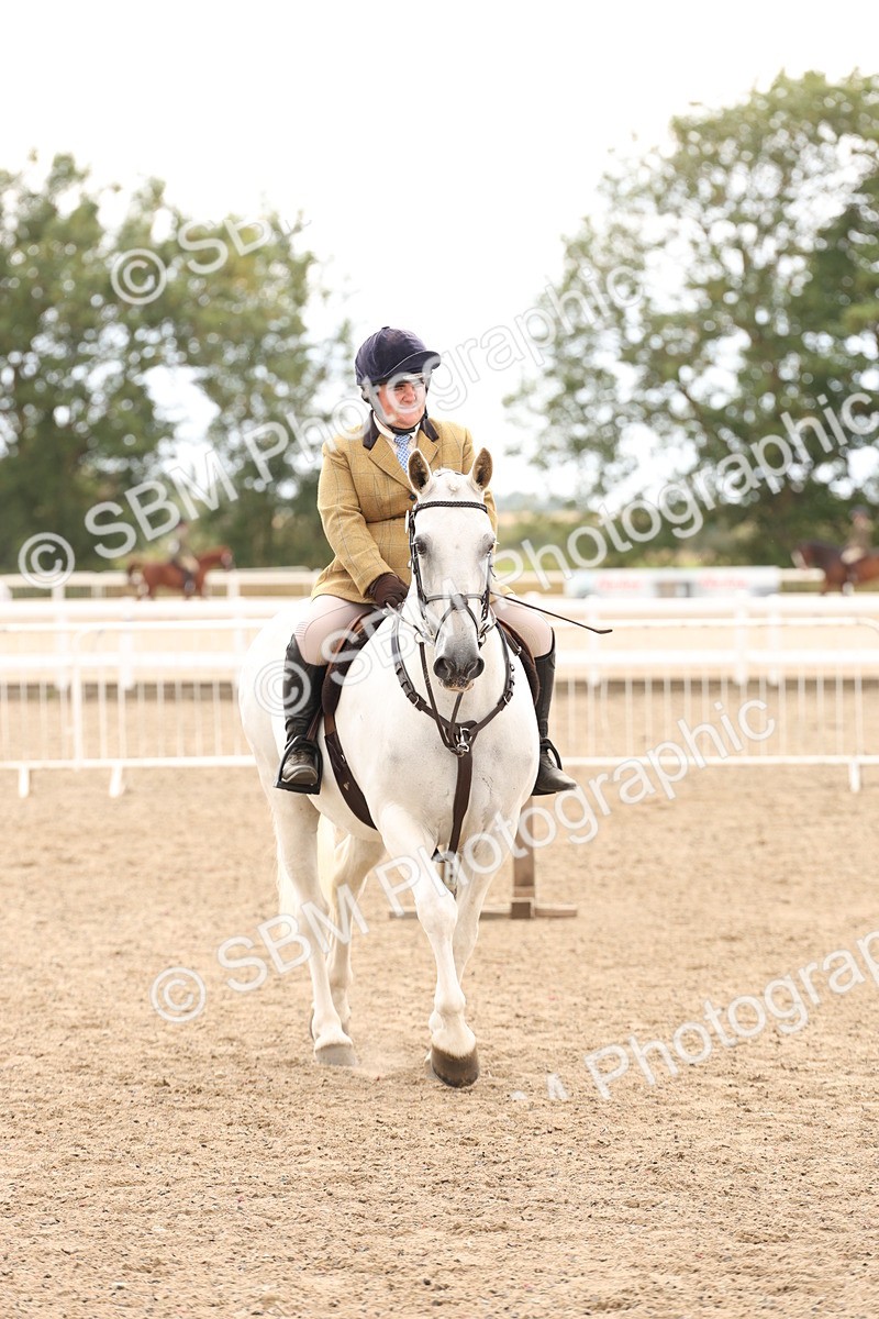 SBM_06760 - Class 58a -  Style & Performance - 70cm (15-19)