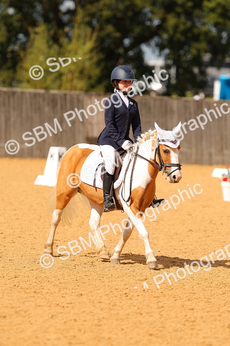 SBM_44109 - D22 - Junior Championship - Intro B