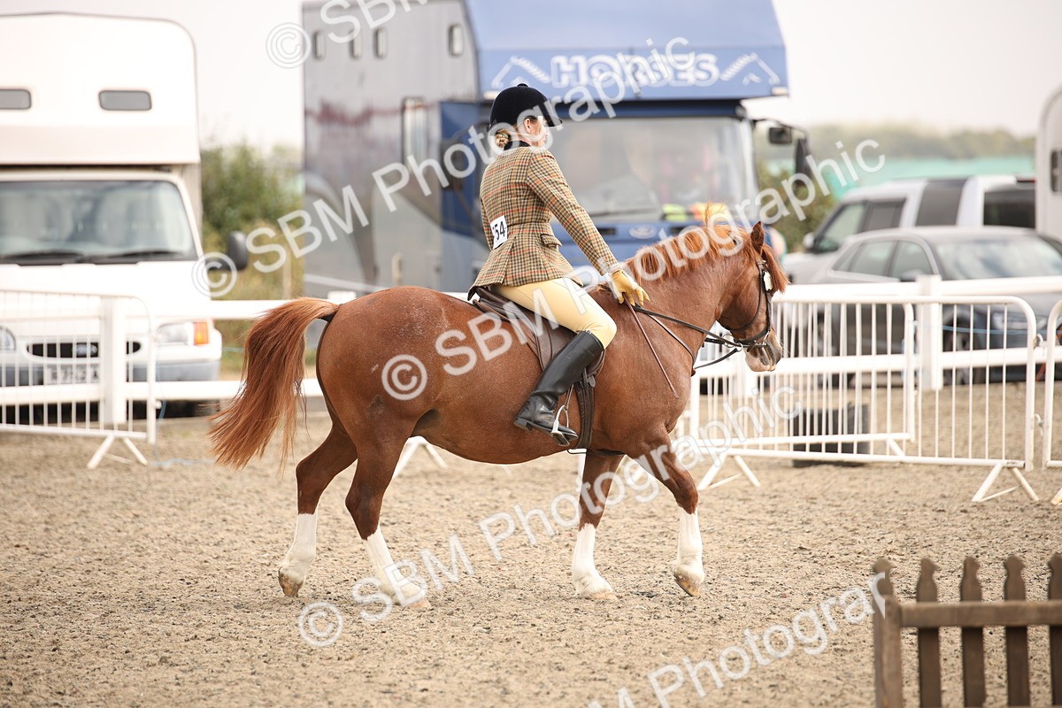 SBM_12272 - Class 405a - M&M Working Veteran 50cm (15-19)