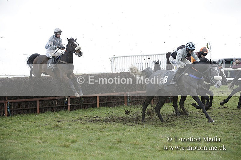 PtP 150320 0492 - New Forest Point-to-Point Larkhill 15/03/20