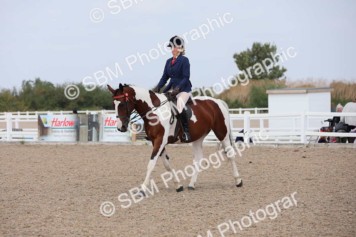 SBM_13445 - Class 308 Ridden Coloured Horse