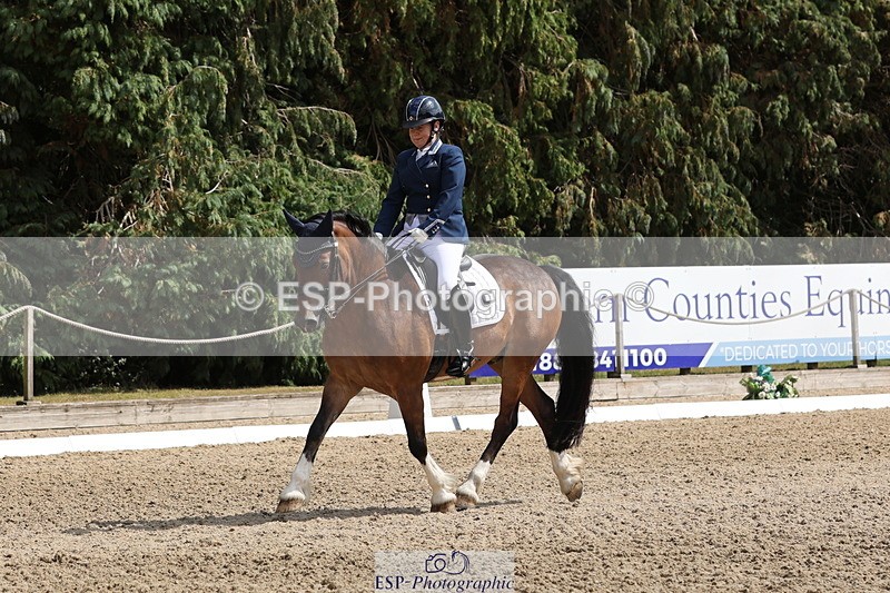 250809A-145345-04115 - 095-Alison.CrimpCrwys.Beau