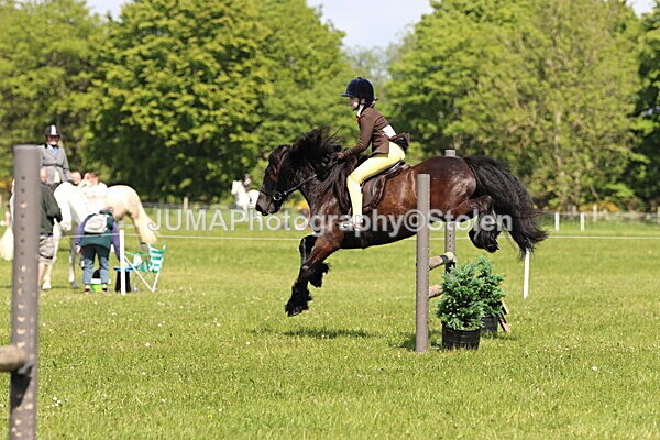 IMG_4302 - Working Hunter