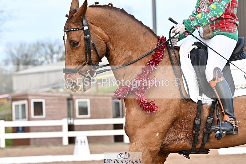 241214-150739-03110 - 137-Tyler.Bradshaw-Gijsbert