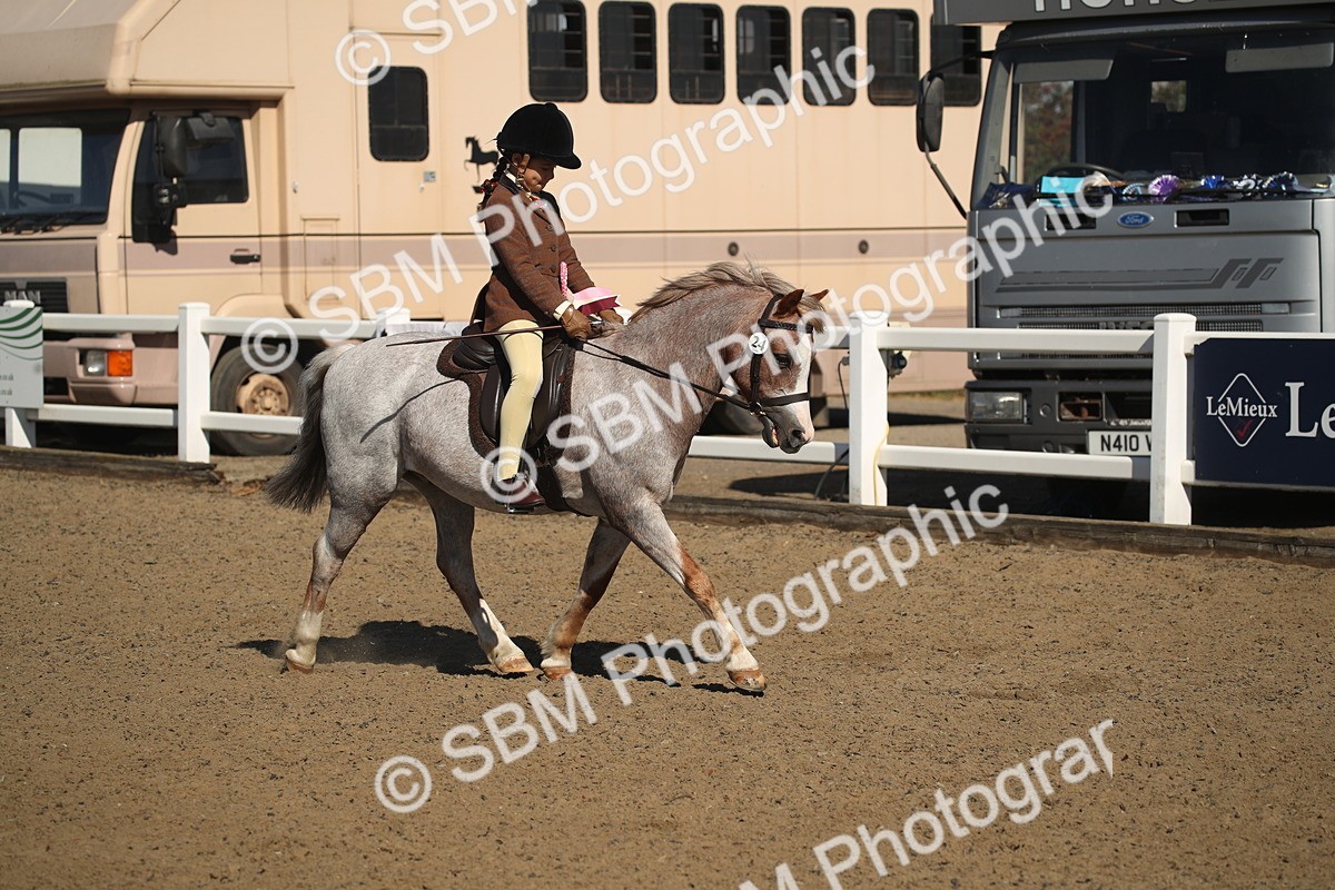 SBM_12806 - Class 504b - Junior Working Veteran - 40cm (20+)