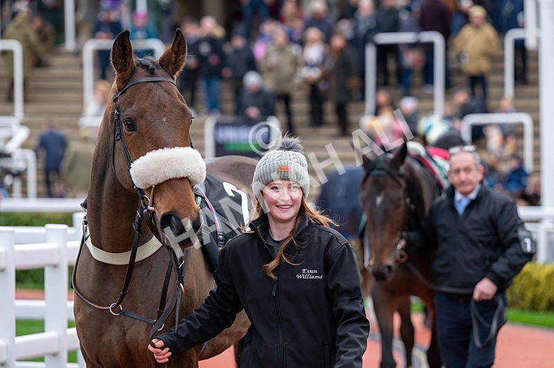 161125-Race 3-Dr T J Eckleburg-1441 - Race 3