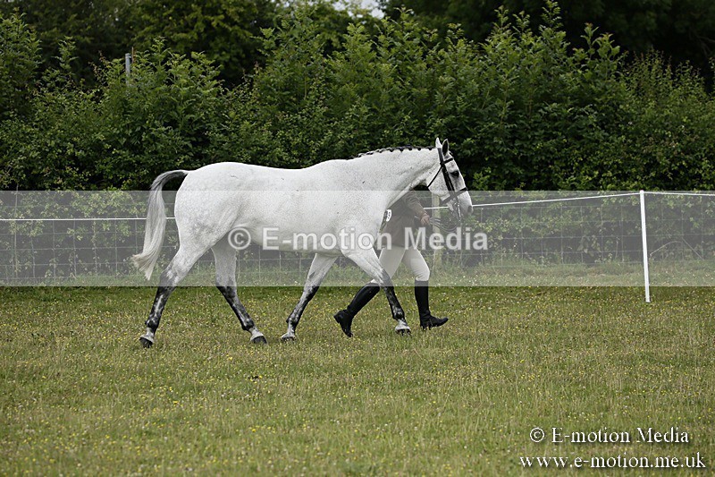 BVR160717-207 - Ring 2 BVRC Show 16/07/17