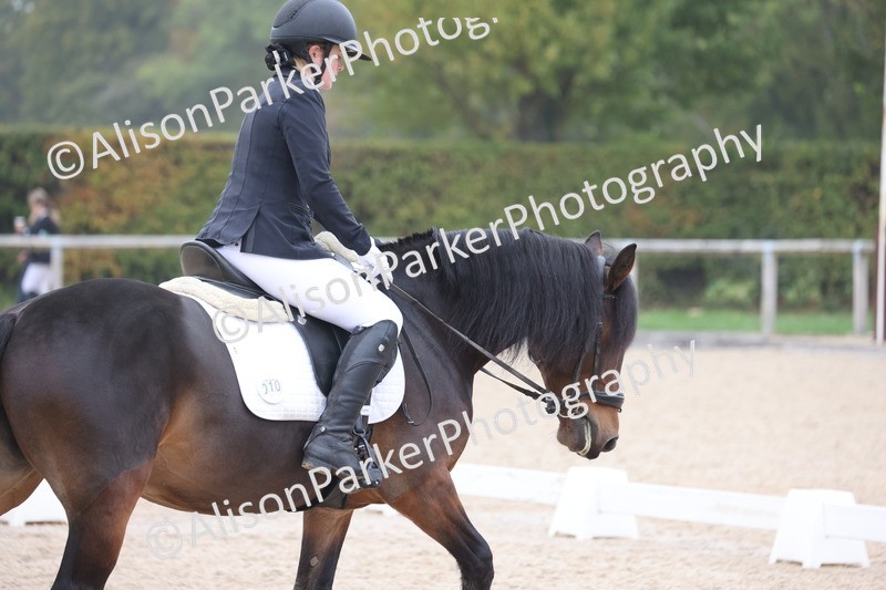 20251012-0538 - Class 4 - Novice 6