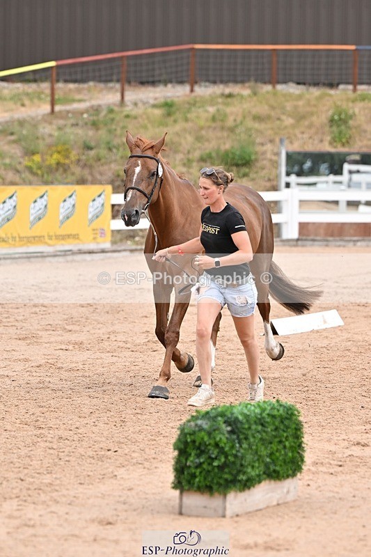 250716-143059-01158 - Trot Up 2.30 to 3.30