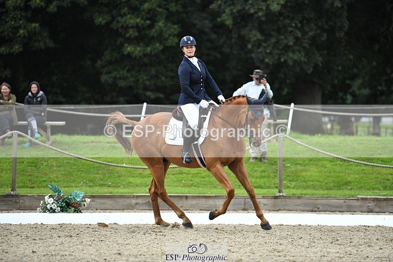 230812-122921-04129 - Cls 6 Novice Silver 12.10 to End