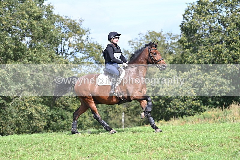 WJ7_1899 - Time 13:17 to 13:53