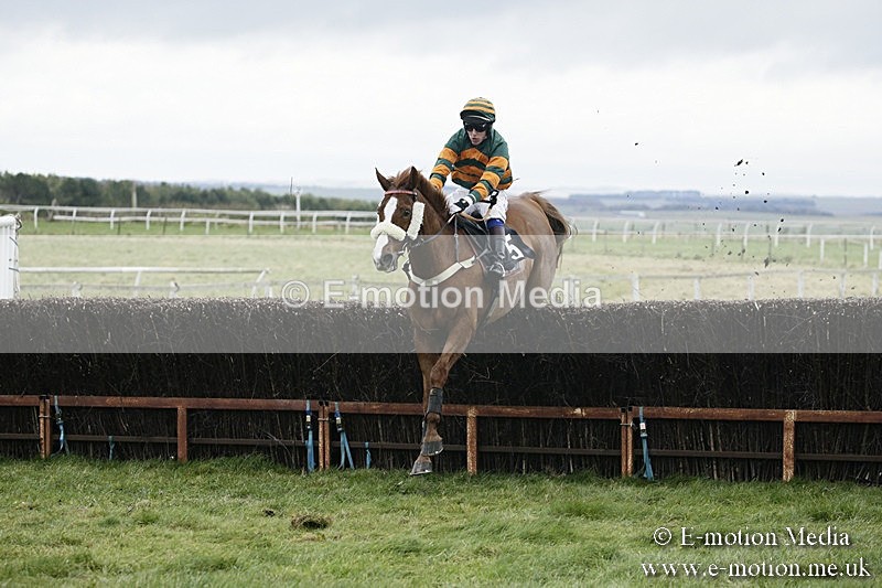 PtP 031217 312 - Hursley Hambledon Point-to-Point Larkhill 03/12/17