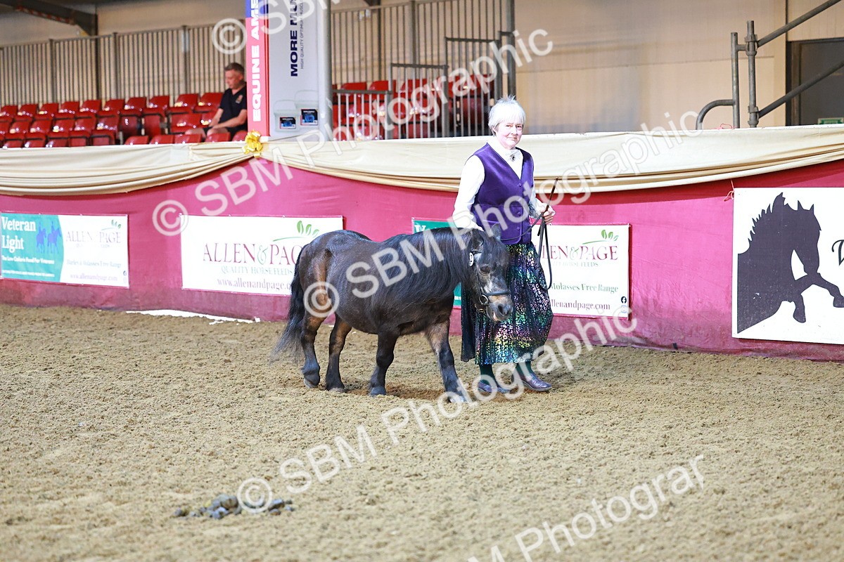 SBM_14664 - Class C - Novelty champ