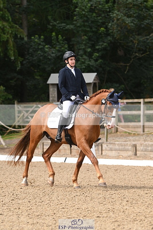 250720A-101118-09426 - 071-Jesse.Poyntz-Wright-Knockaderry.Jack