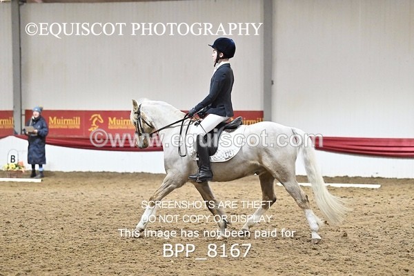 BPP_8167 - INTRO 2