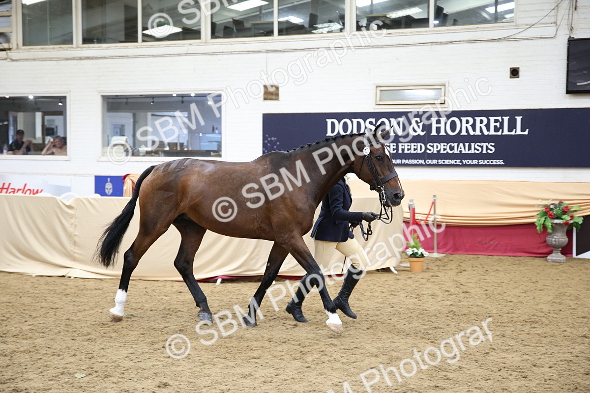SBM_23375 - Class 904 - Supreme Final Ridden Diamond