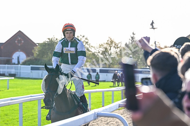 241025-Race 5-Calico-4623 - Race 5