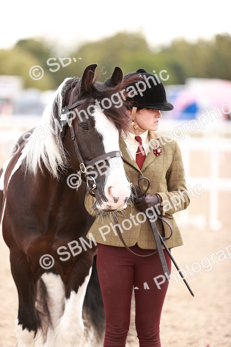 SBM_18491 - Class 420 - Ridden M&M