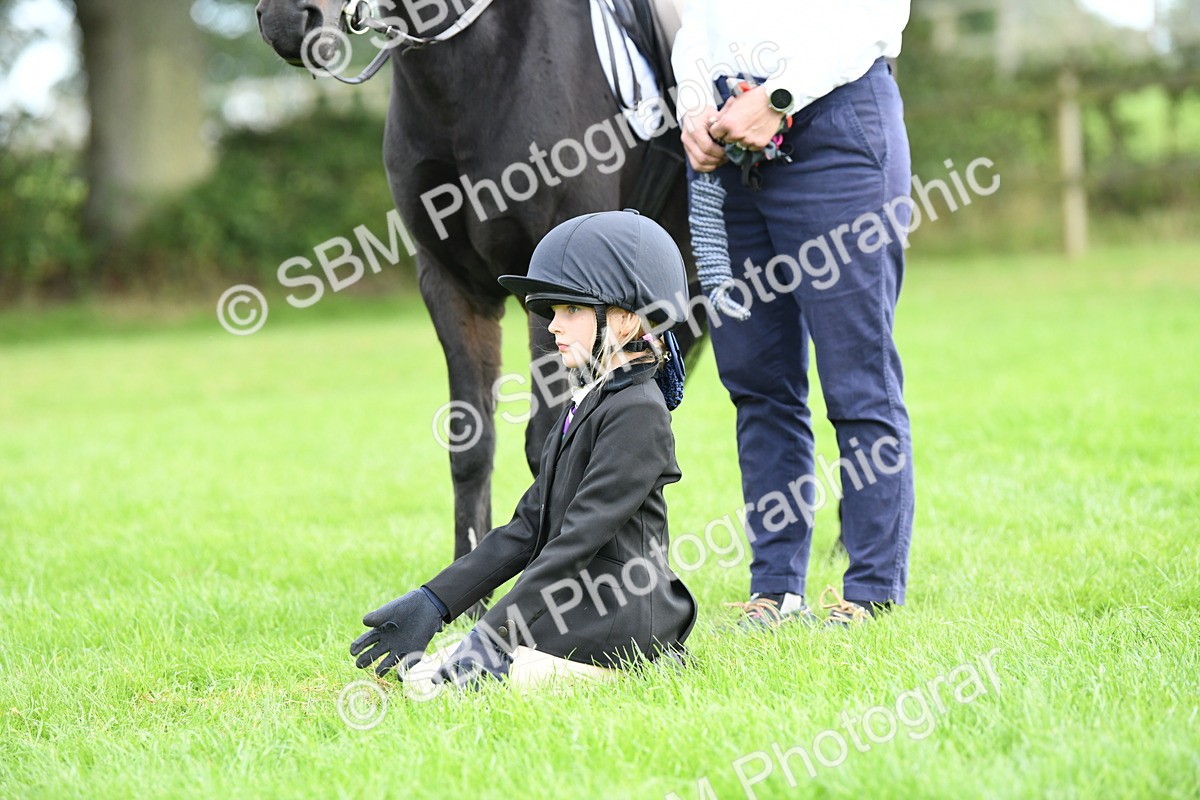 SBM_47188 - S12 - Family Horse & Pony