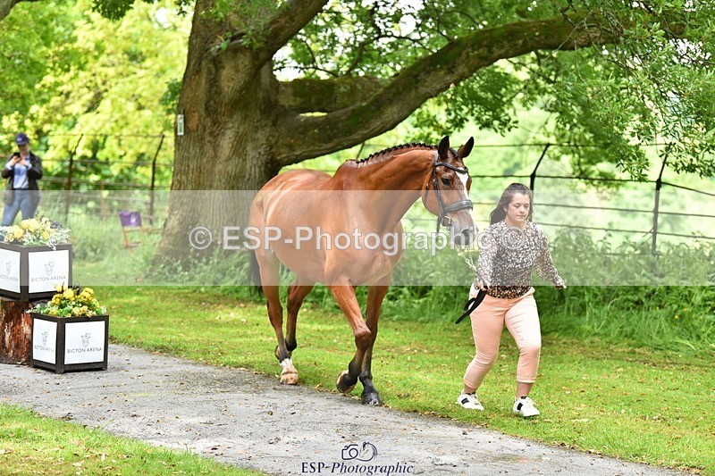 240522-153822-00488 - 382-WIL_JACK_B_KING-Charlotte_Parry-Ashcroft