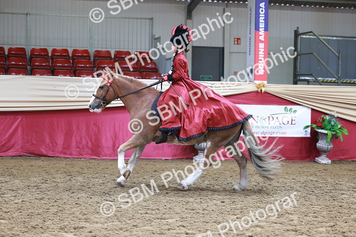 SBM_13515 - Class 104 - Ridden Costume - Astride Junior