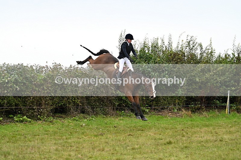 WJ7_4164 - Camera 1 Line 2