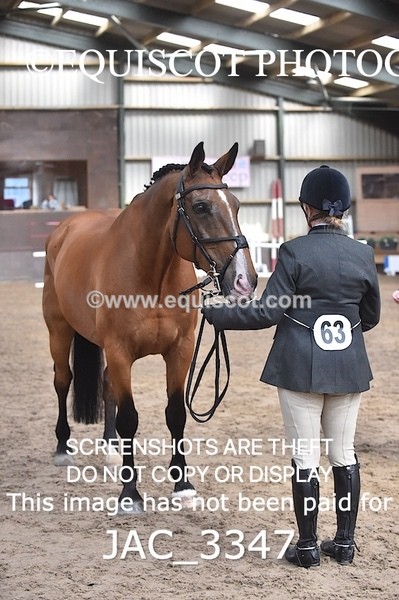 JAC_3347 - CLASS 8 BHS Scotland Riding Club Working Hunter Qualifier