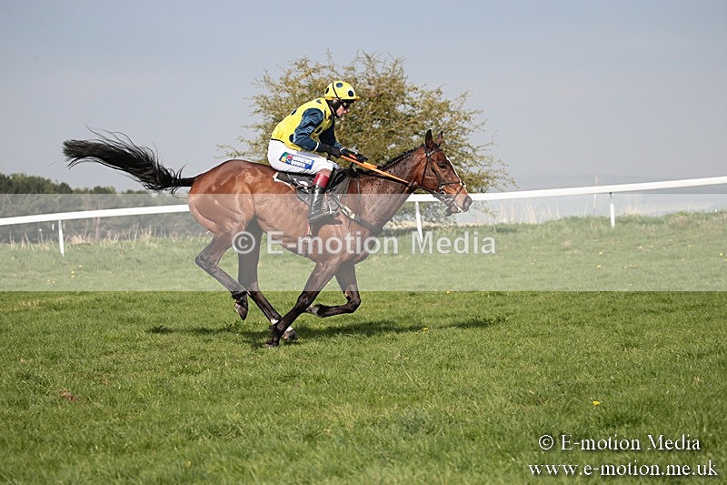 PtP 210418 453 - South & West Wilts Point-to-Point Larkhill 21/04/18
