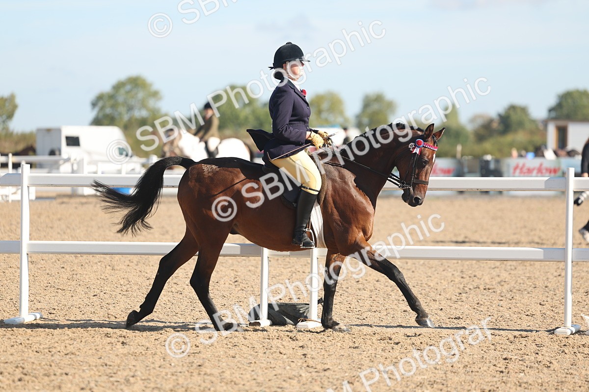 SBM_12311 - Class 304 - Ridden part Bred Horse Pony
