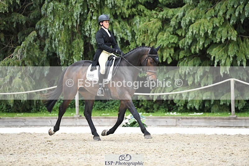 230525-152425-03241 - 326-GULLITH-Emily_Lochore-WEDTrotUp+DR