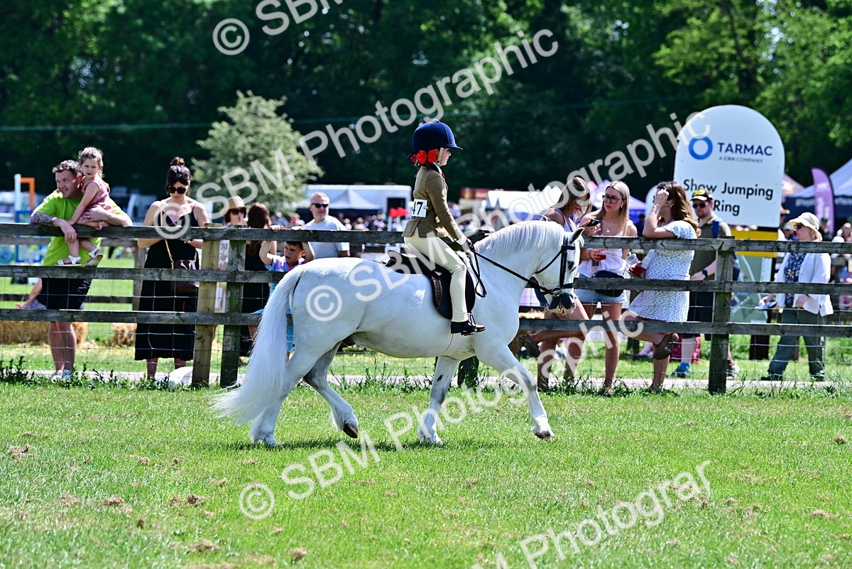 SBM_06013 - Class 59-60 - TSR M&M  Lear Rein and First Ridden Amateur of the year