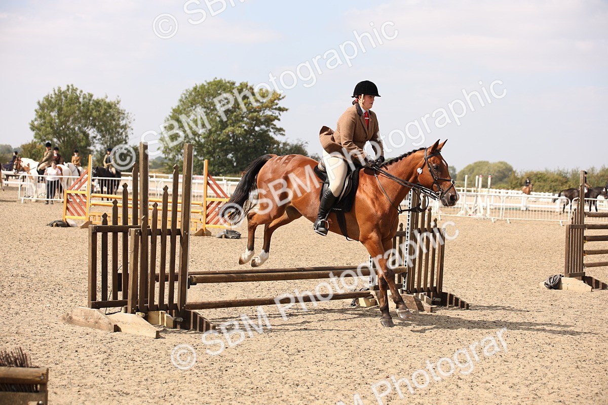 SBM_14277 - Class 407b - Working Veteran 60cm (20+)