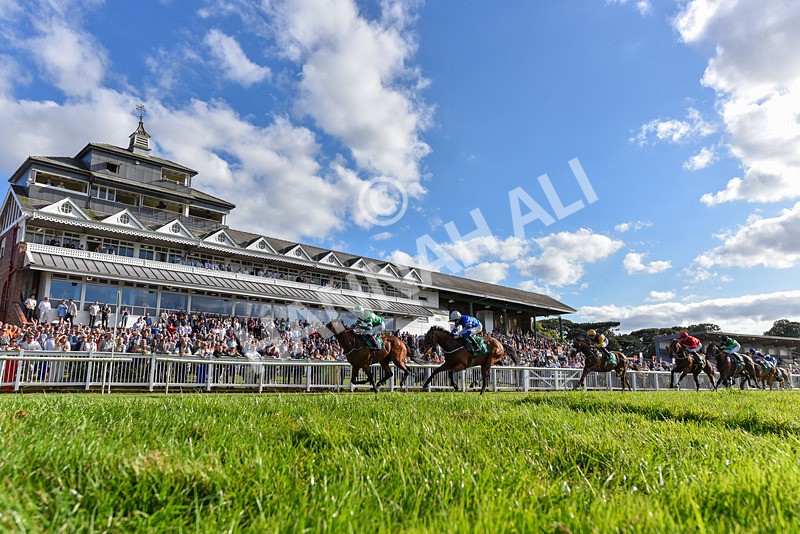 160824-Race 2-Dark Cloud Rising-3599 - Race 2