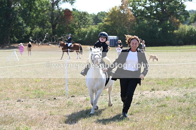 WJ6_7883 - Class 36 Lead Rein