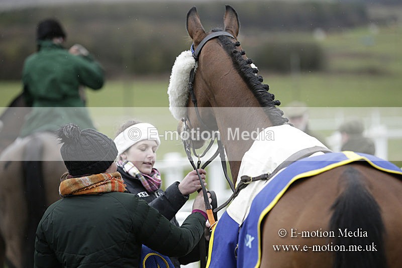 PtP 150320 0249 - New Forest Point-to-Point Larkhill 15/03/20