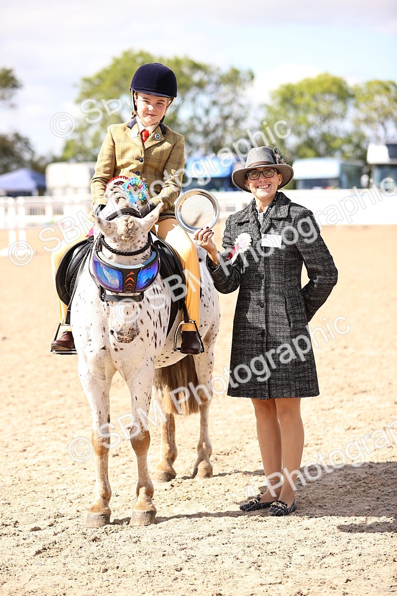 SBM_12887 - Class 409 - Grassroots Ridden - Pony