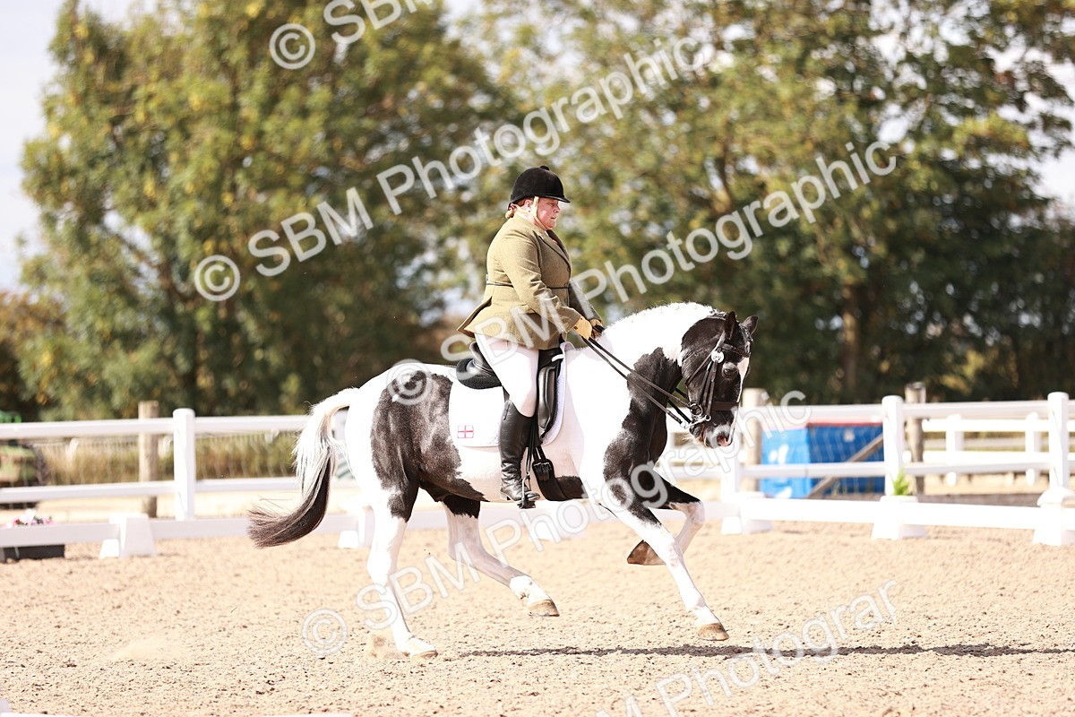 SBM_06612 - Class 39 - Medium 3